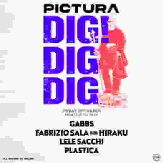 DIG! X PICTURA